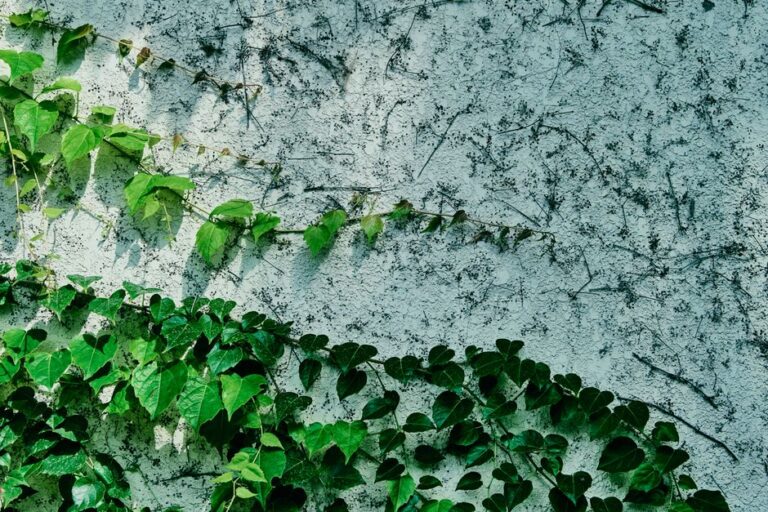 Wandklimop kunstplanten: creëer een groen paradijs binnenshuis