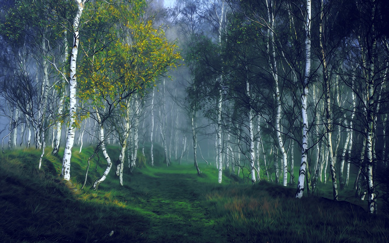 Rustgevend boslandschap met zonnestralen door bomen.